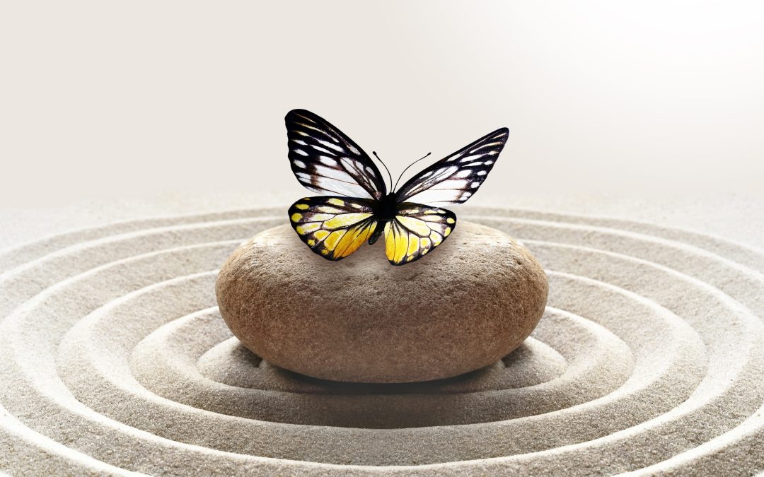 what is meditation? d3