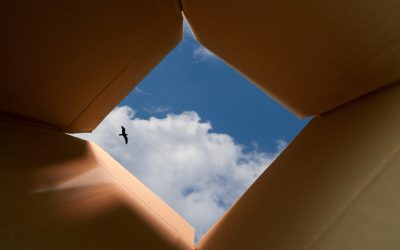 What is Practicing Perspective?