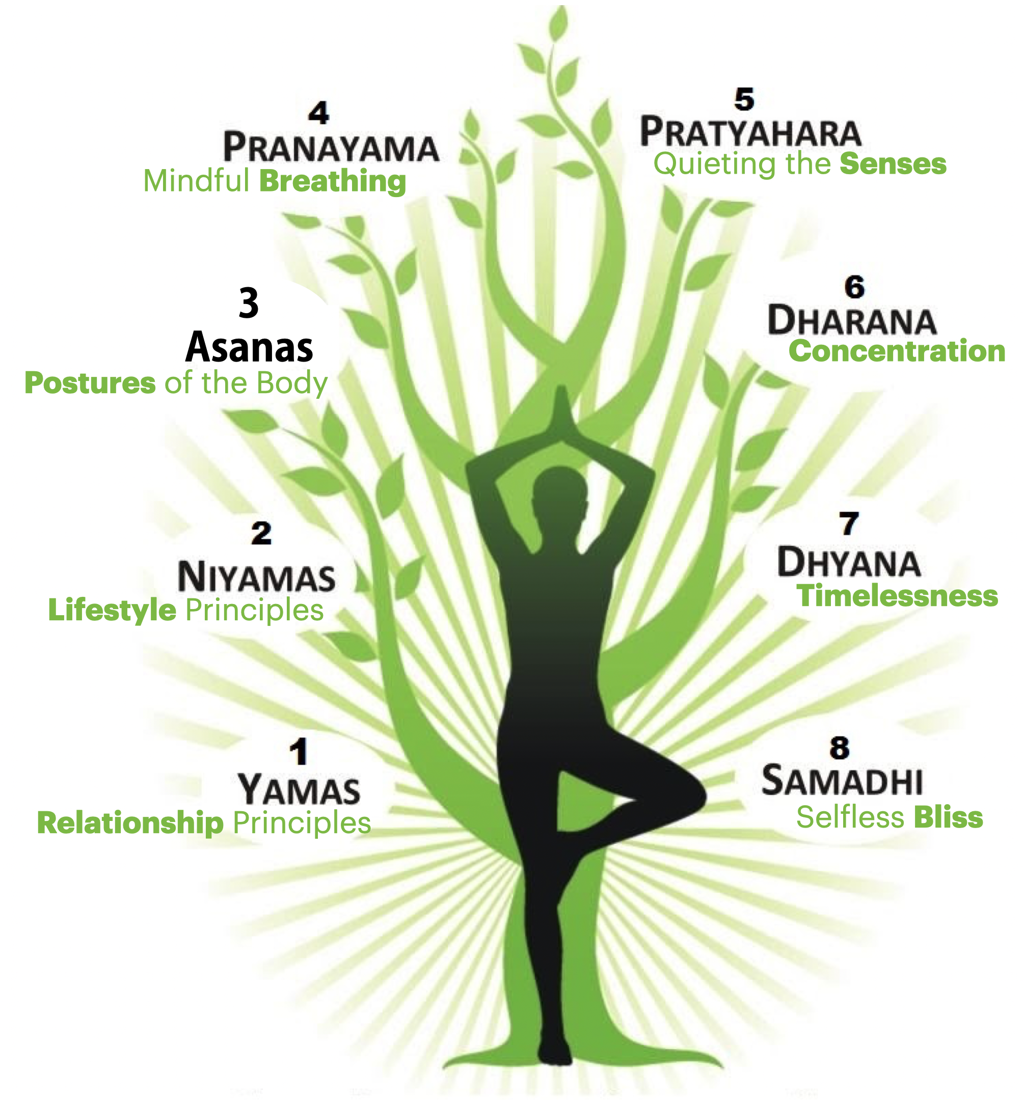 the 8 Limbs - Practicing Perspective Yoga Therapy the 8 Limbs - Practicing Perspective Yoga Therapy